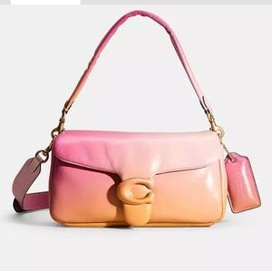 Coach Pillow Tabby Ombre 26